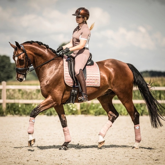 MRS. ROS - Equestrian Horse Training Shirt - Picture 8 of 13
